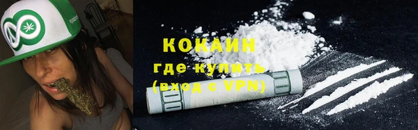 эйфоретик Аркадак