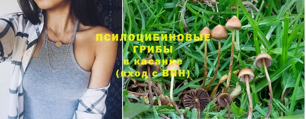 эйфоретик Аркадак