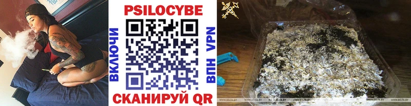 даркнет сайт  Рузаевка  Псилоцибиновые грибы MAGIC MUSHROOMS 